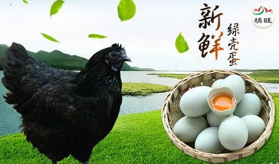 產品的介紹圖|DM/宣傳單/平面廣告|平面|吸血鬼不壞 - 原創設計作品 